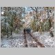 Donnersberg02_Wintereinbruch.jpg