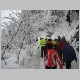 Wolfgangsee3.jpg